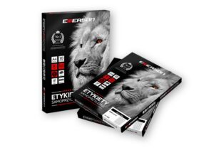 Etykiety A4  Emerson białe 105x48 (100) 12 etykiet na stronie NR. 31