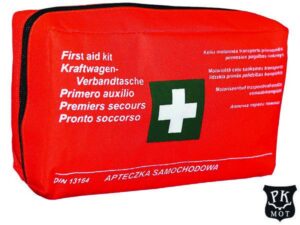 Apteczka REIS ASAM C 24x15x6