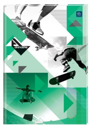 Brulion A5 96k linia twarda oprawa