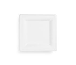 Talerz z trzciny cukrowej. kwadratowy 20x20cm. biały. op. 50 szt. 100% biodegradowalny