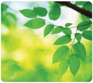 Podkładka Earth Series. Liście FELLOWES