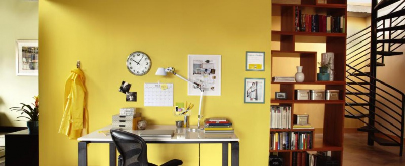 Haki wielokrotnego użytku COMMAND™ (17006 CLR), małe, 6szt., transparentne - obrazek 5