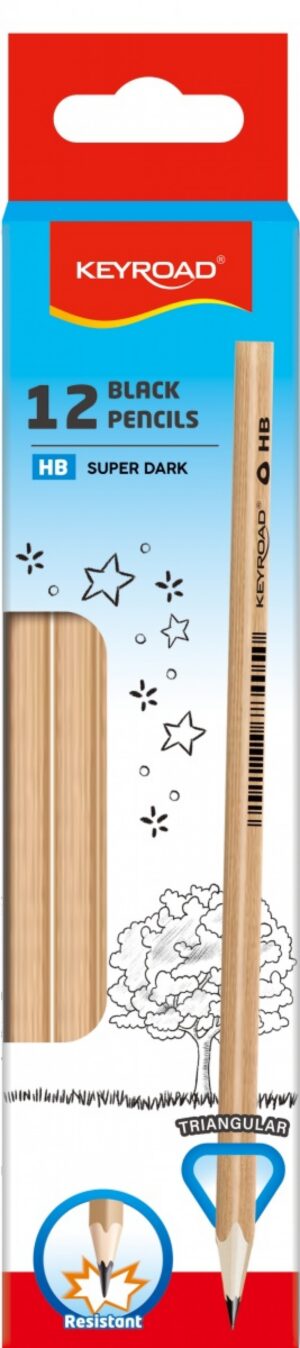Ołówek KEYROAD, trójkątny, drewno topoli, 2,2 mm, 12 szt.