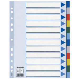 Przekładki ESSELTE plastik PP A4 12 kolorów