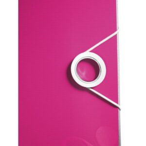 Segregator LEITZ ACTIVE WOW A4/50  różowy