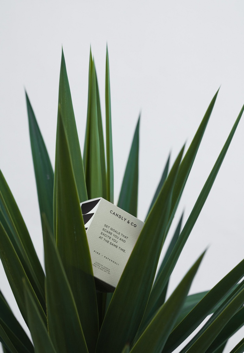 Świeca sojowa w szkle CANDLY&CO, Set Goals That Scare You, zapach No.4, 250g - obrazek 5