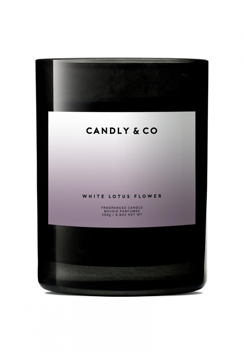 Świeca sojowa w szkle CANDLY&CO, bez cytatu, zapach No.8, 250g