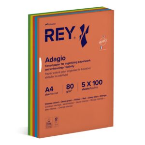 Papier ksero REY ADAGIO, A4, 80gsm, mix kolorów intens, *RYADA080X906 R200, 5x100 ark.