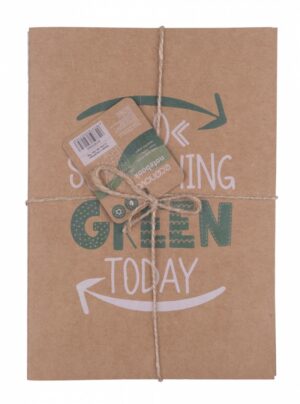 Zeszyt ECONOVO, z recyklingu, A5, 32 kart., 70gsm, 2 szt., naturalny